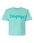 A mint green short-sleeve t-shirt with the word 'Stingrays' printed across the chest in a bright teal cursive font, shown against a plain white background.