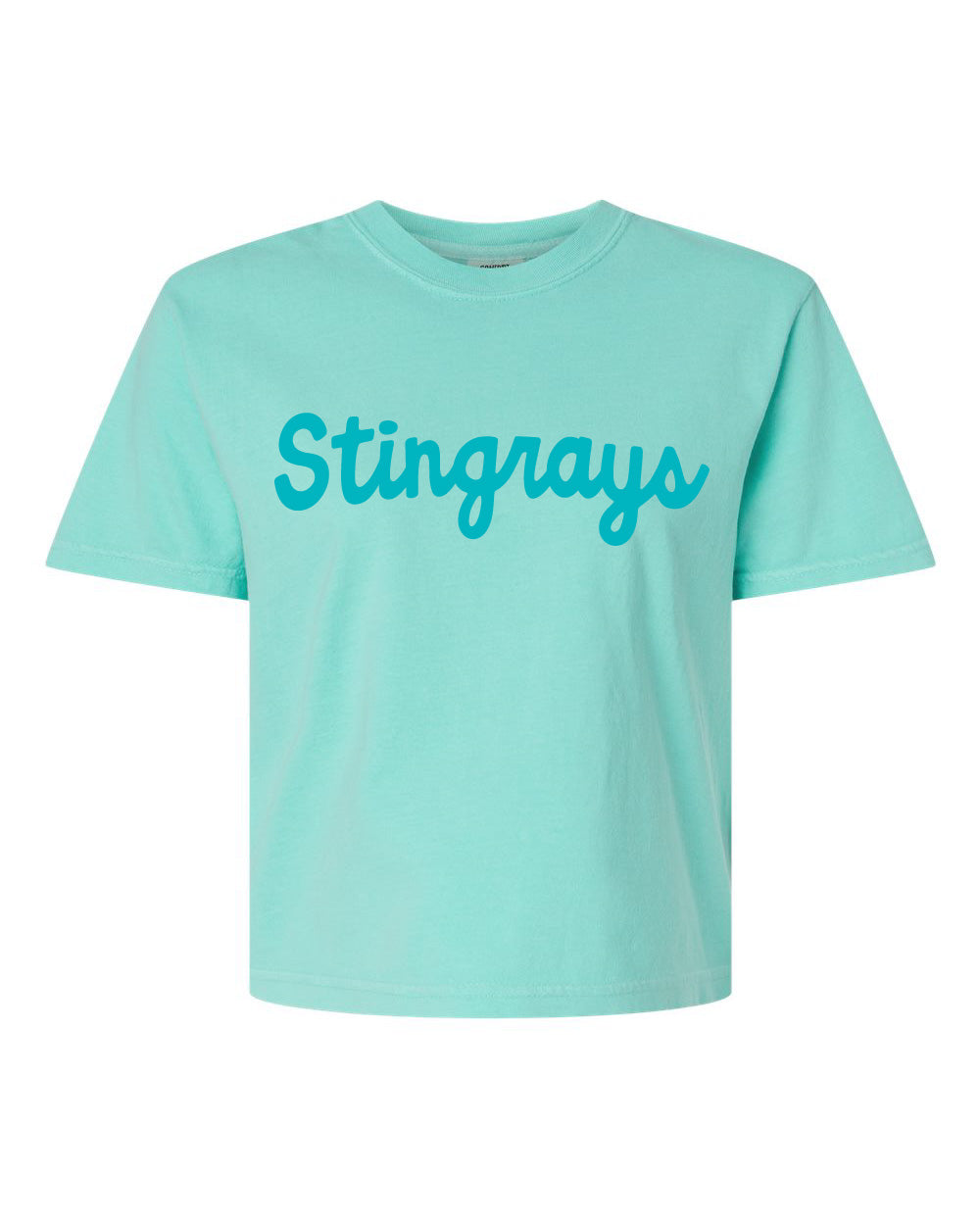 A mint green short-sleeve t-shirt with the word 'Stingrays' printed across the chest in a bright teal cursive font, shown against a plain white background.