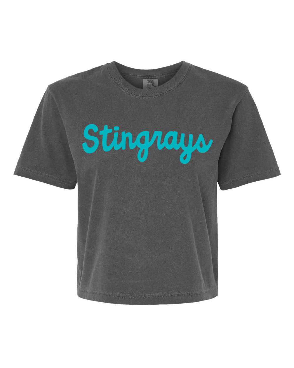 A dark gray short-sleeve t-shirt with the word 'Stingrays' printed across the chest in a bright turquoise cursive font, shown against a plain white background.