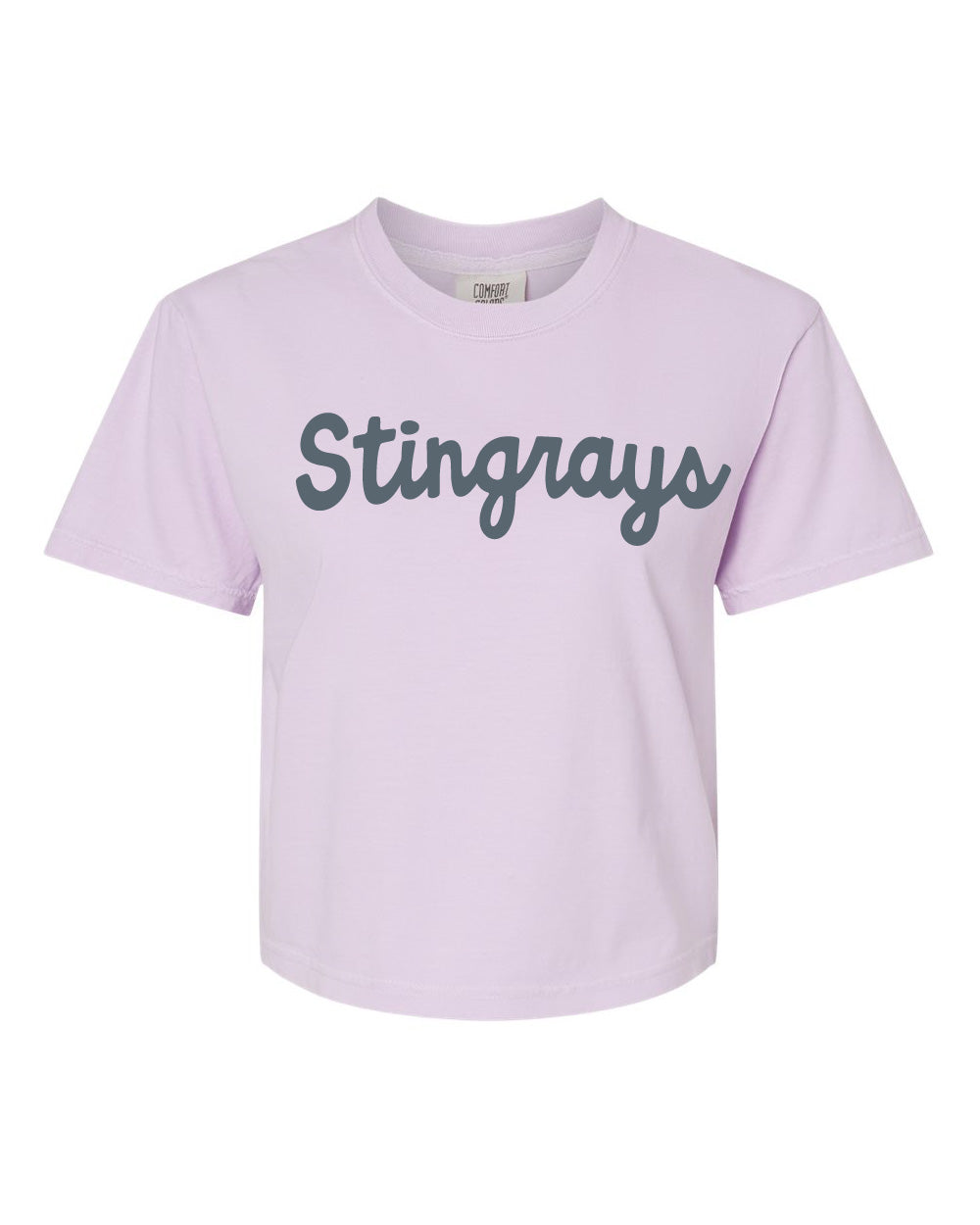 A light lavender short-sleeve t-shirt with the word 'Stingrays' printed across the chest in a dark gray cursive font, shown against a plain white background.